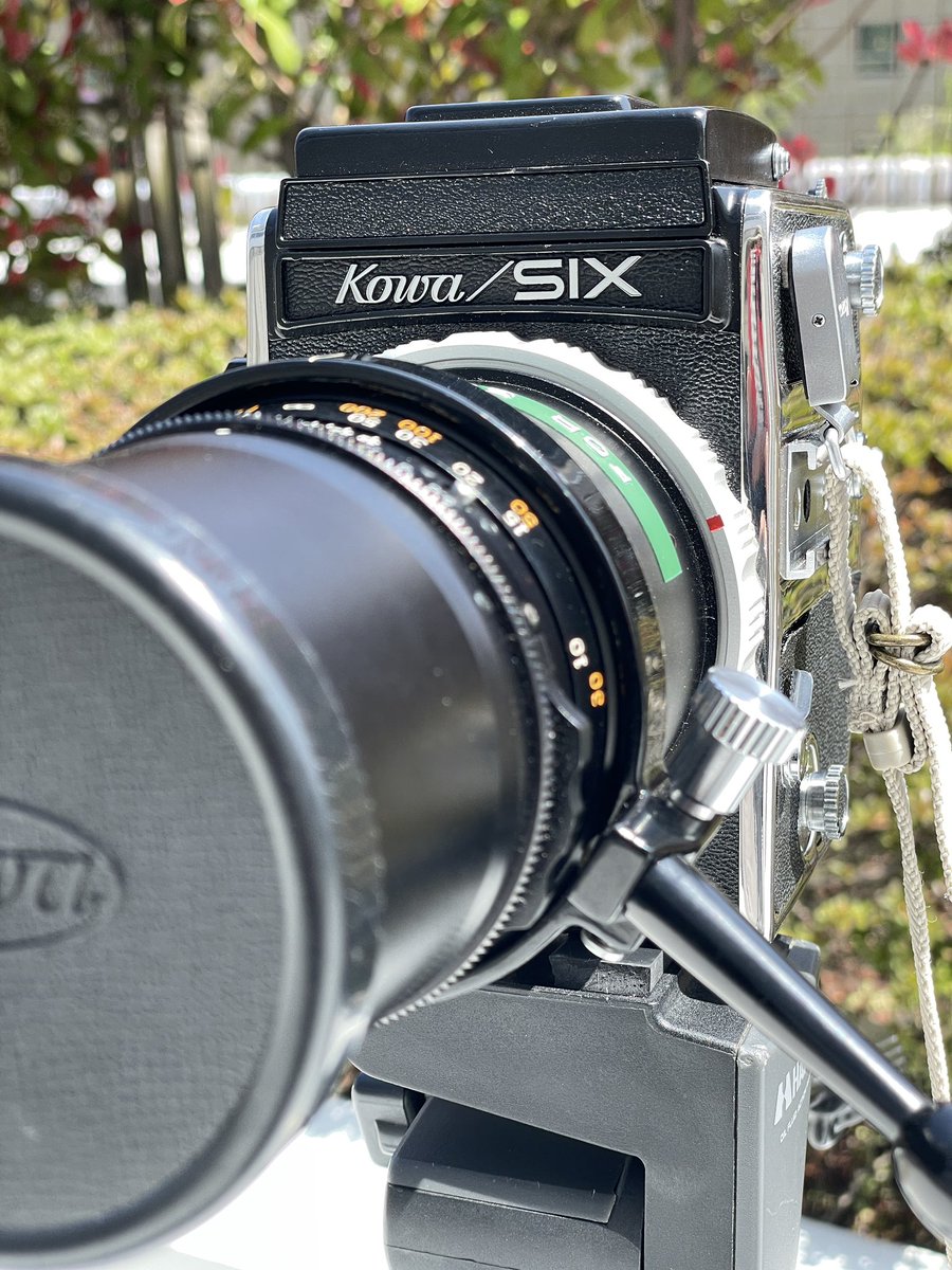 鰻野舞 tweet media