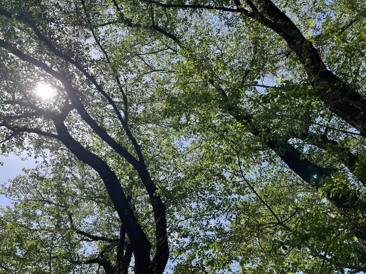 髙橋エレクトリック/タカハシヒロシ/髙橋 寛/高橋 寛 tweet media