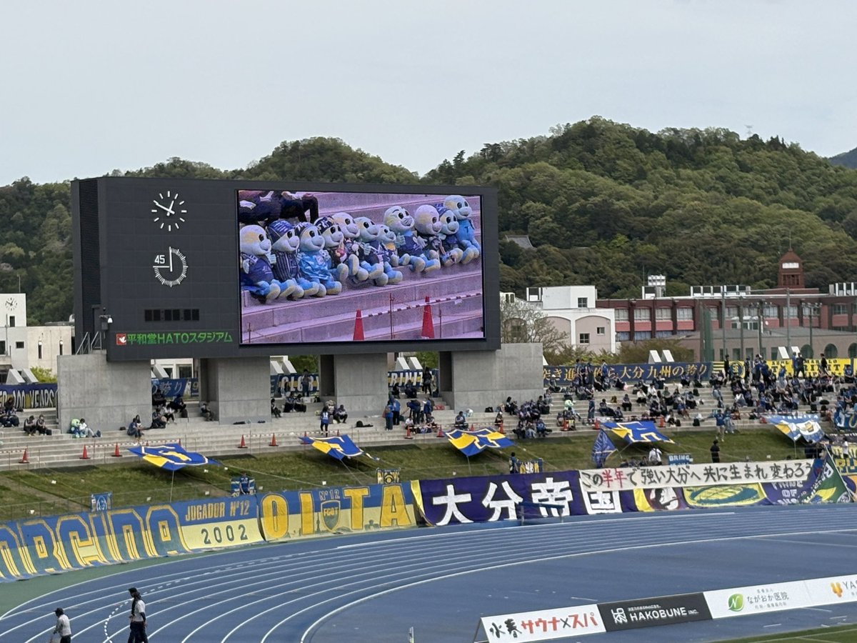 くまねこ 🐯ブログ写真整理中💦 tweet media