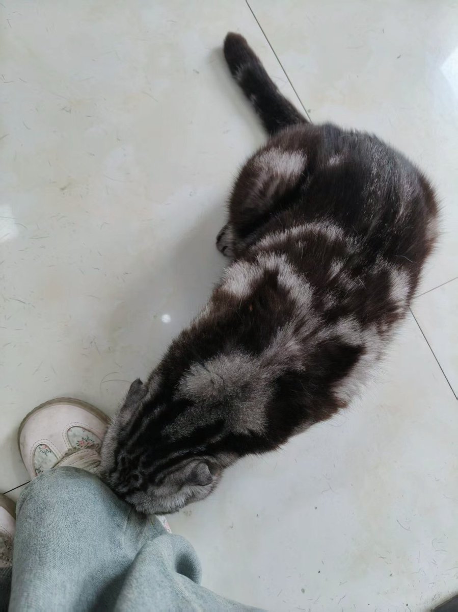 🌧️枚鼠鼠 tweet media