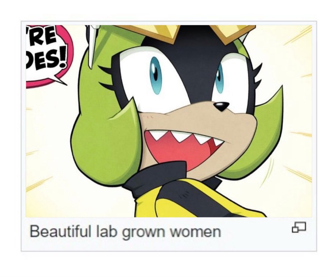 alex 🇬🇺 tweet media