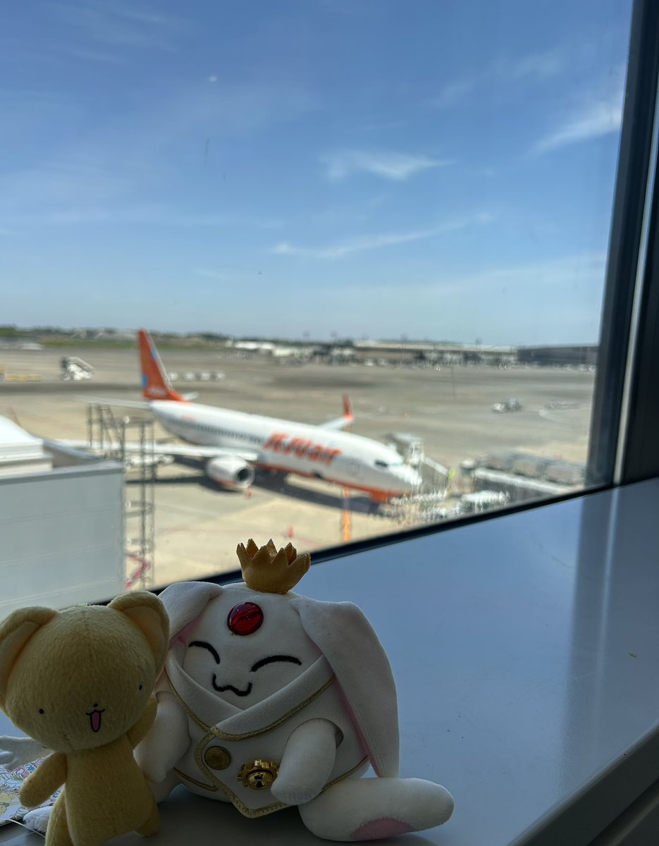 はたみよ tweet media