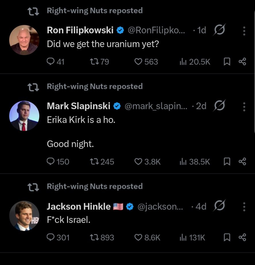 conservative millenial tweet media