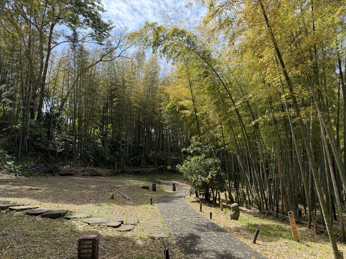 jun1_iguchi's tweet photo. Arai Castle Ruins(荒井城址公園)

https://t.co/oXHoxeIpFV https://t.co/w2cjbNSWVq