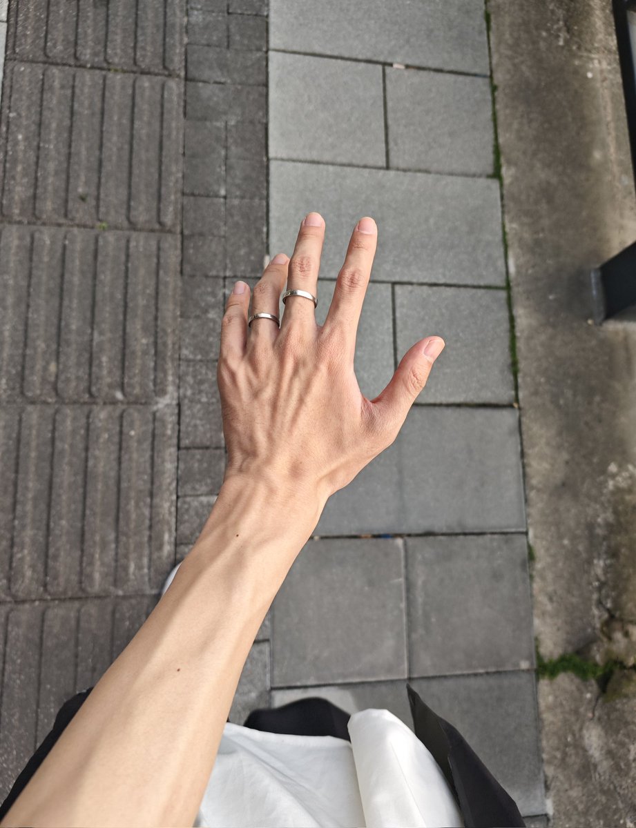 孔雀日记 tweet media