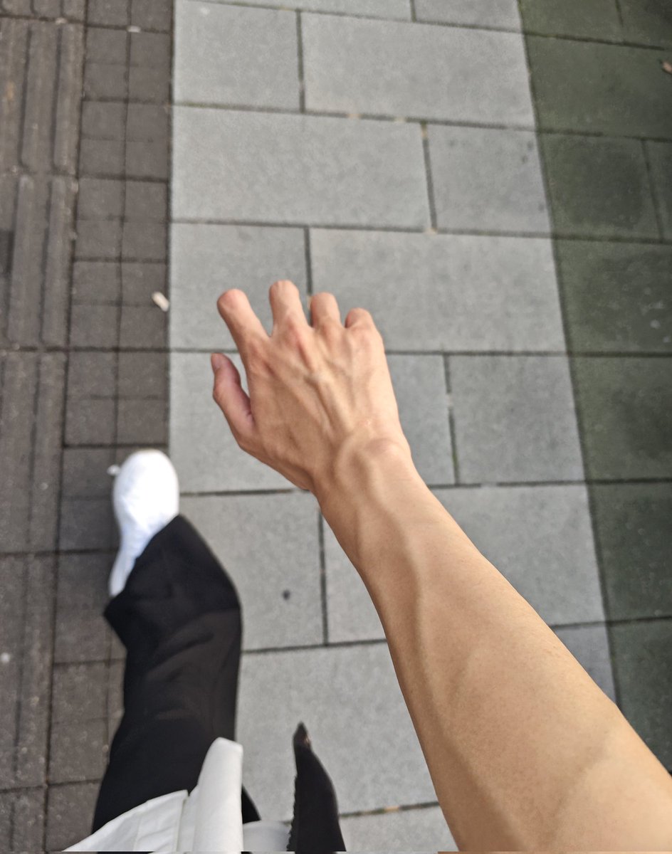 孔雀日记 tweet media