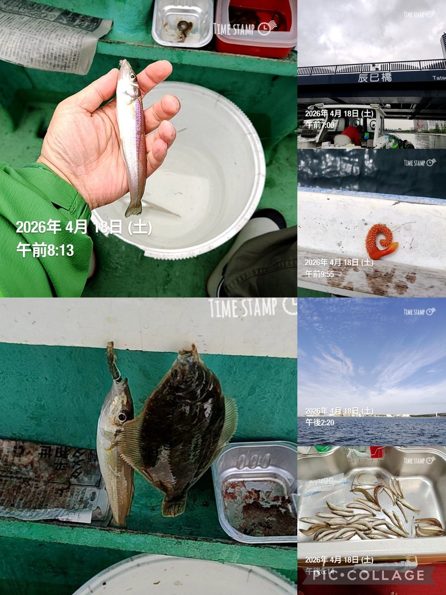 弌(川口和竿　工房弌) tweet media