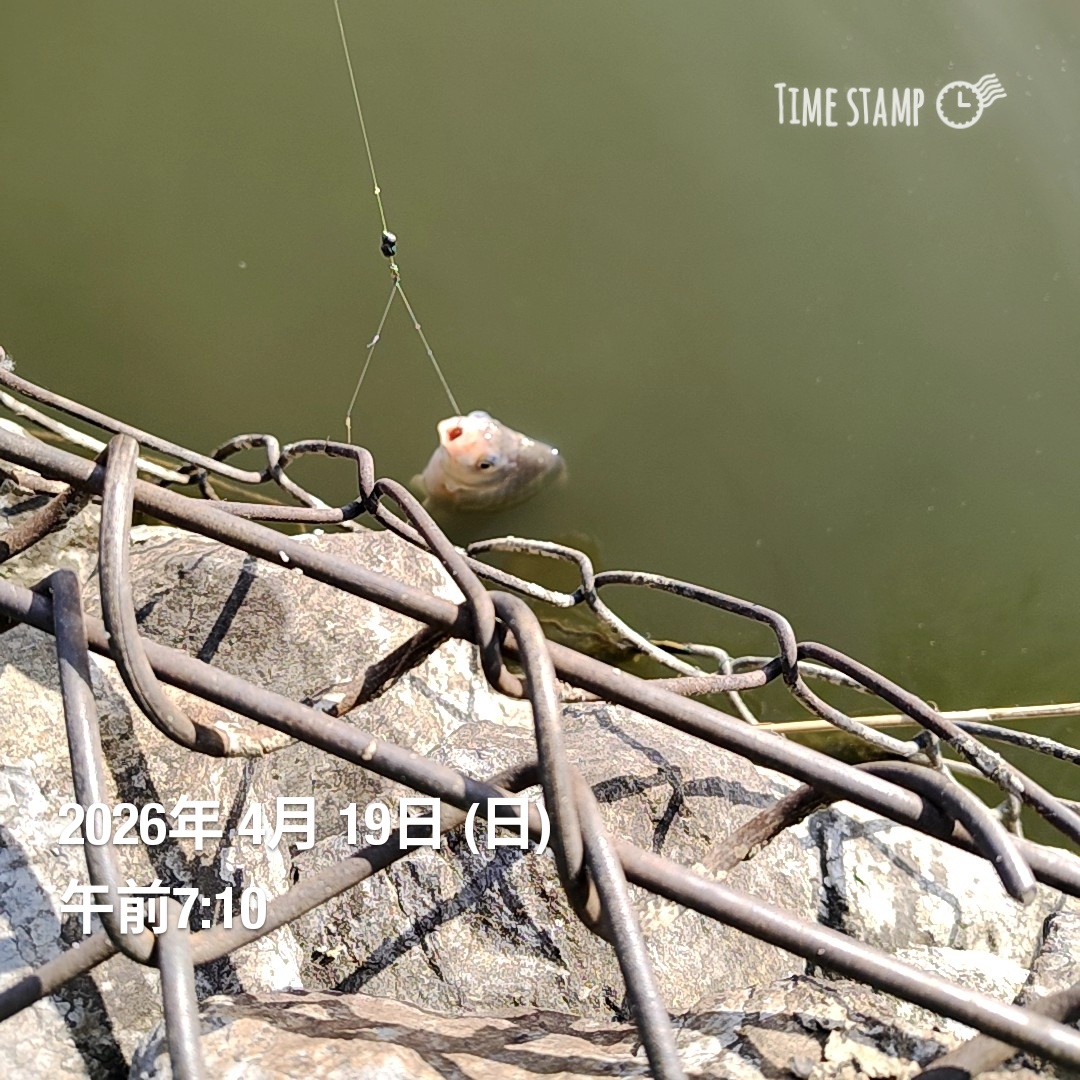 弌(川口和竿　工房弌) tweet media