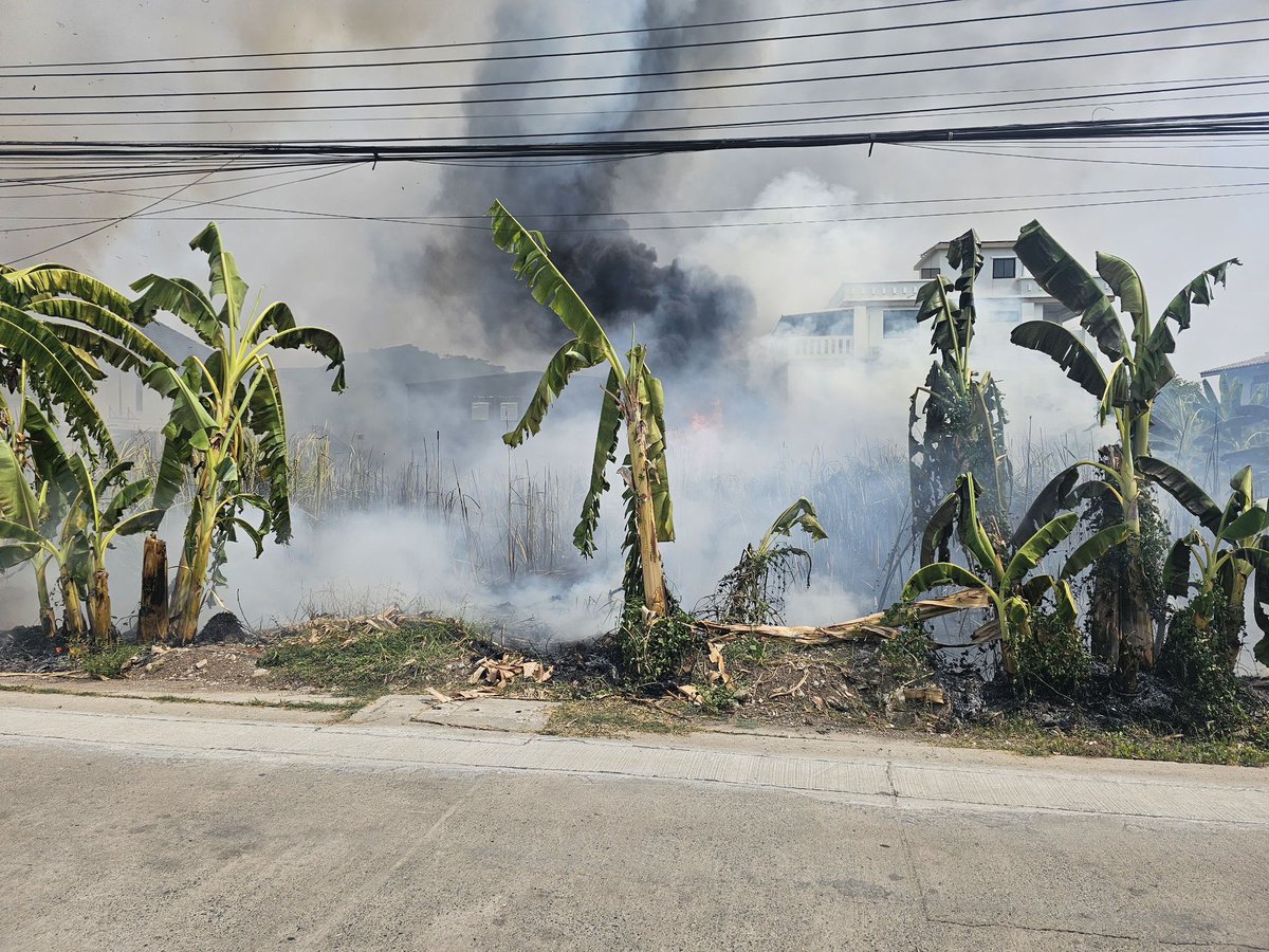 js100radio's tweet image. เวลา 10.46 น. เหตุเพลิงไหม้หญ้าลุกลามเข้าภายในอู่ซ่อมรถยนต์ ซอยรามอินทรา 77 แยก 4 เขตคันนายาว ขณะนี้เพลิงสงบ รายละเอียดเพิ่มเติมอยู่ระหว่างการตรวจสอบ
#ศูนย์วิทยุพระราม199

(Cr.นะจ๊ะ คันนายาว004 , 🚑ภูวนาถ🚑  ,ลี่ตำแหน่งรองประธาน)