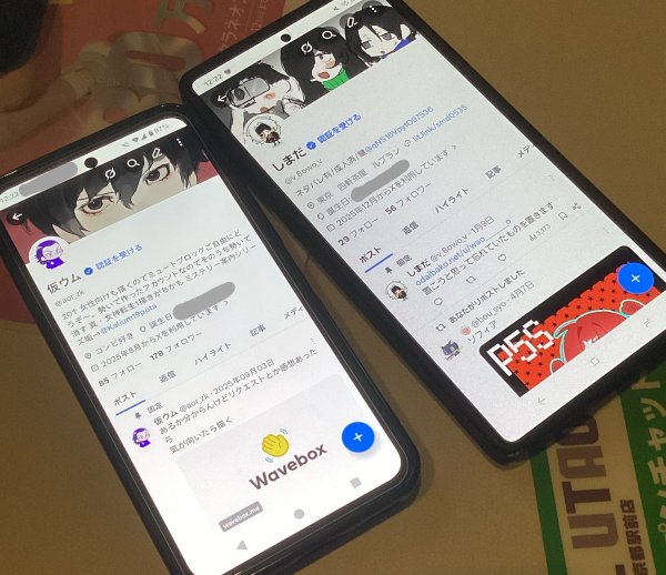 仮ウム tweet media
