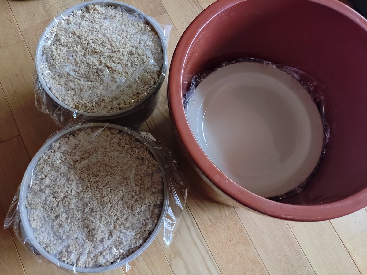 むぅちゃん tweet media