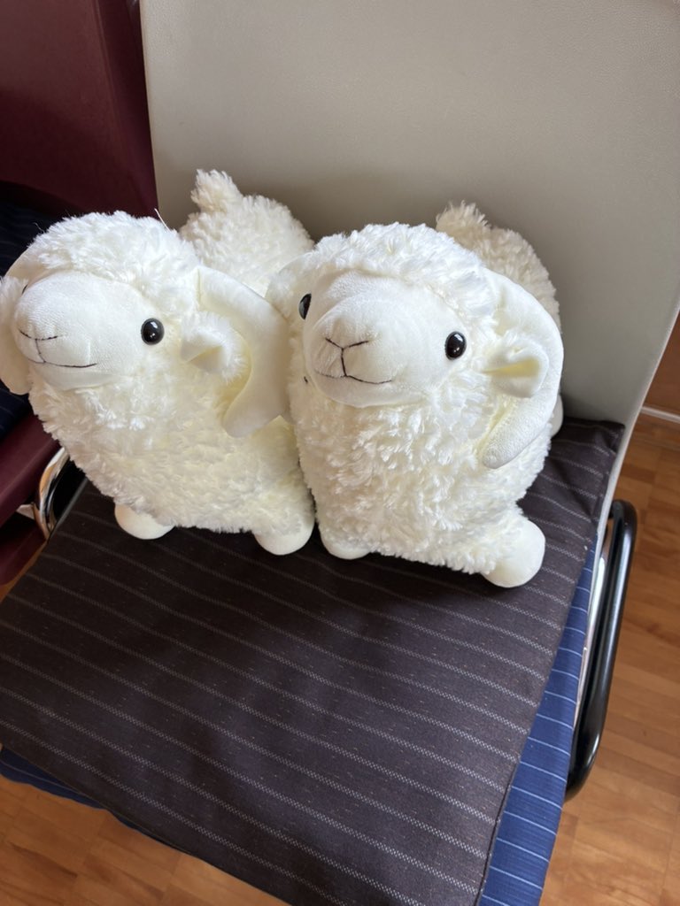 Dr.Masahiro🧑‍🎓 tweet media