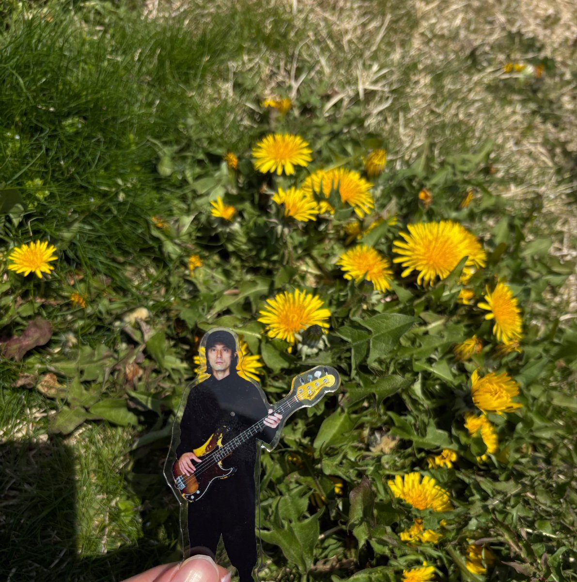 ぐりとぐらたん🟨 tweet media