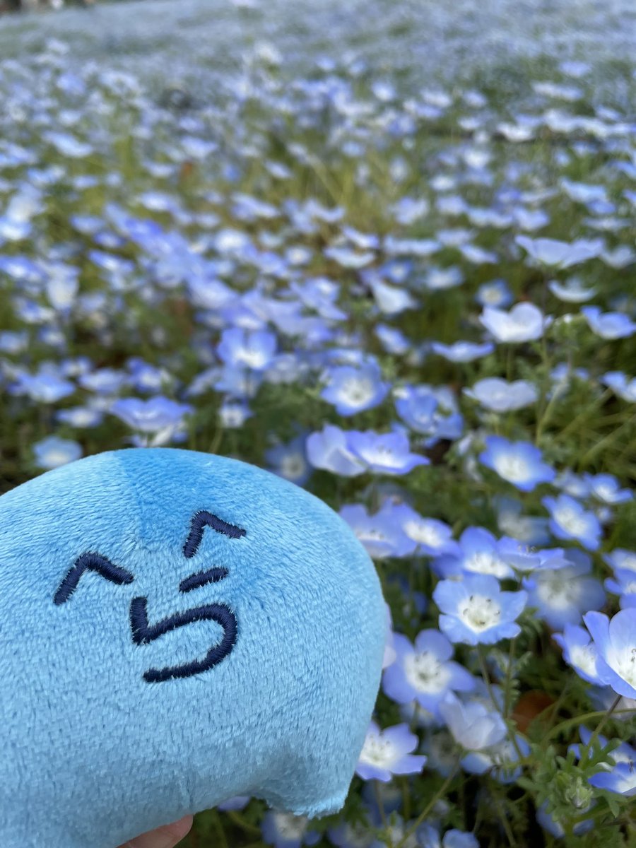 akubi__toap's tweet photo. ・ら・ https://t.co/9Ov49xxfx2