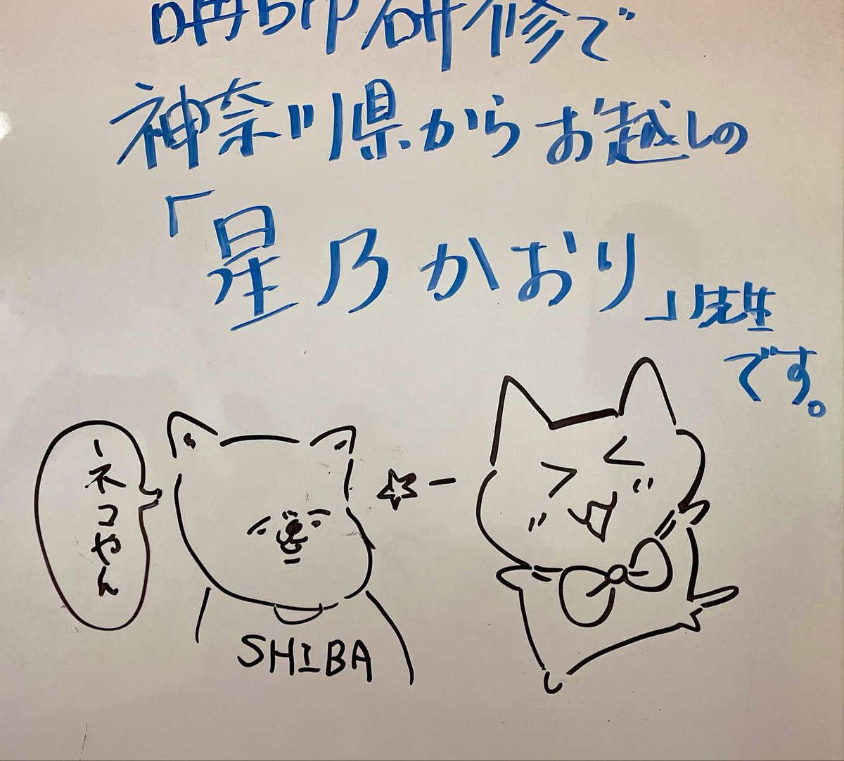mcgshibamaru's tweet photo. 今日は引き続き講師研修で、大阪日曜の講座に来ているワン。最初のクロッキーで集中力を高め、皆さん楽しく創作開始！いつでもどこかで話し声が聞こえてくる賑やかな講座やでワン。

#大阪 #梅田
#漫画 #イラスト
#クロッキー
#釣りキチ三平
#猫と犬 https://t.co/nkvK5giquf