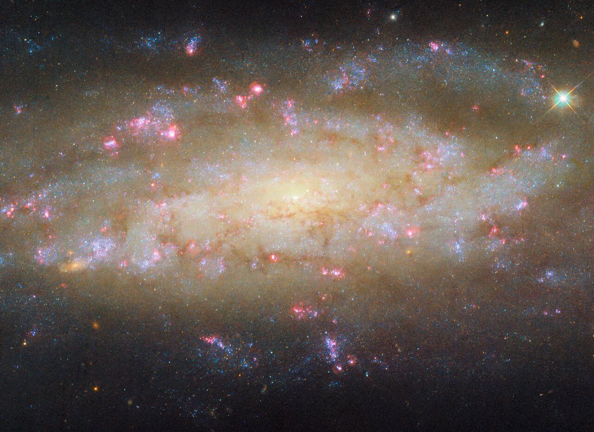 DailySpaceNude's tweet image. Day 1190 - NGC 7456

📷Hubble
#Space #Astronomy #Hubble