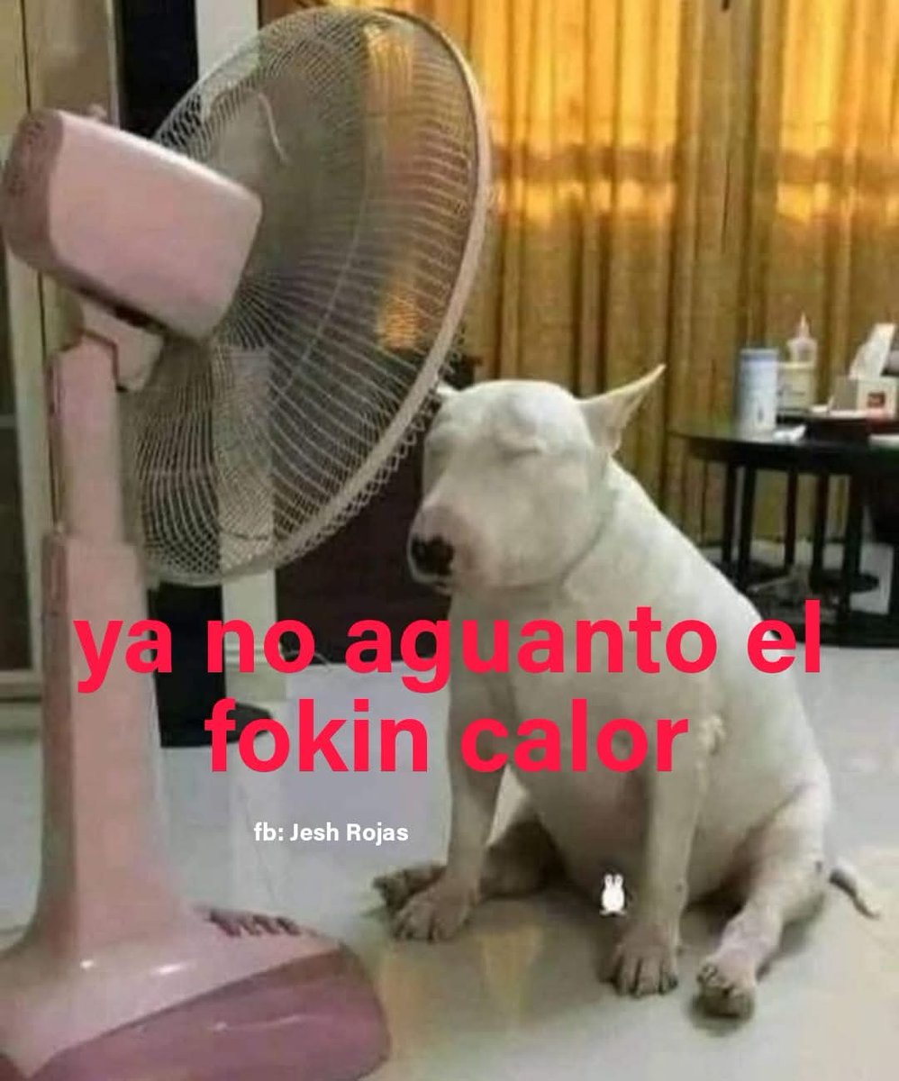 En Júpiter (@en_jupiter_) on Twitter photo 