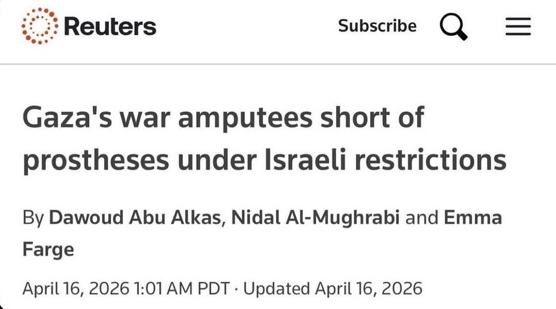 Samira Mohyeddin سمیرا tweet media