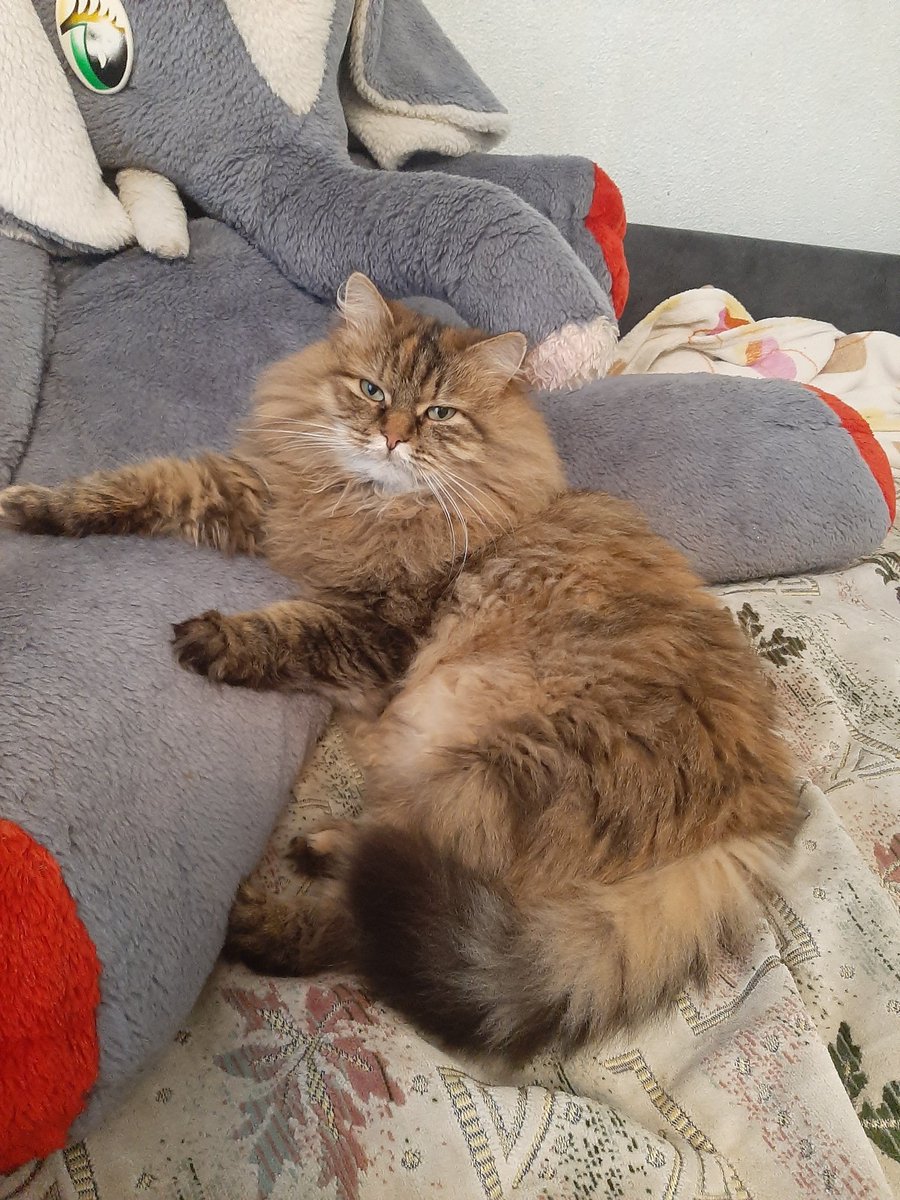 Наталья tweet media