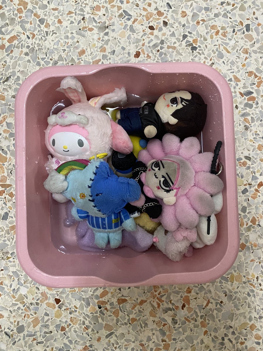 nn.🐈‍⬛🎀✨ tweet media