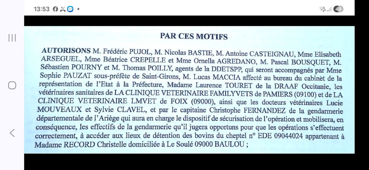 🌿🇨🇵 🅿🅰🅿🆈🆁🆄🆂🇨🇵 🌿 tweet media