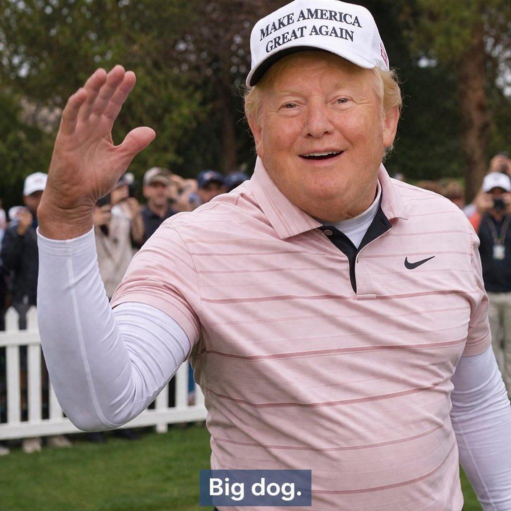 Monkey 🃏 tweet media