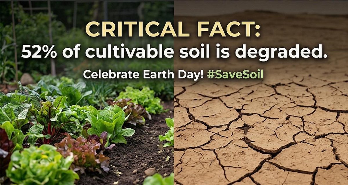 rajeevham2ham's tweet photo. 🌱 Walk with us for the soil.

Save Soil Walkathon: South Bay | Sunday, April 26 | 8:30 am -10 am

One hour. A walk in the park. Music, activities, community, joy. 🌳

👉 Register: https://t.co/Ho4OmQCojL

🌱 The soil has given us everything. Let us give it one hour. #SaveSoil https://t.co/jRHUINd0PB
