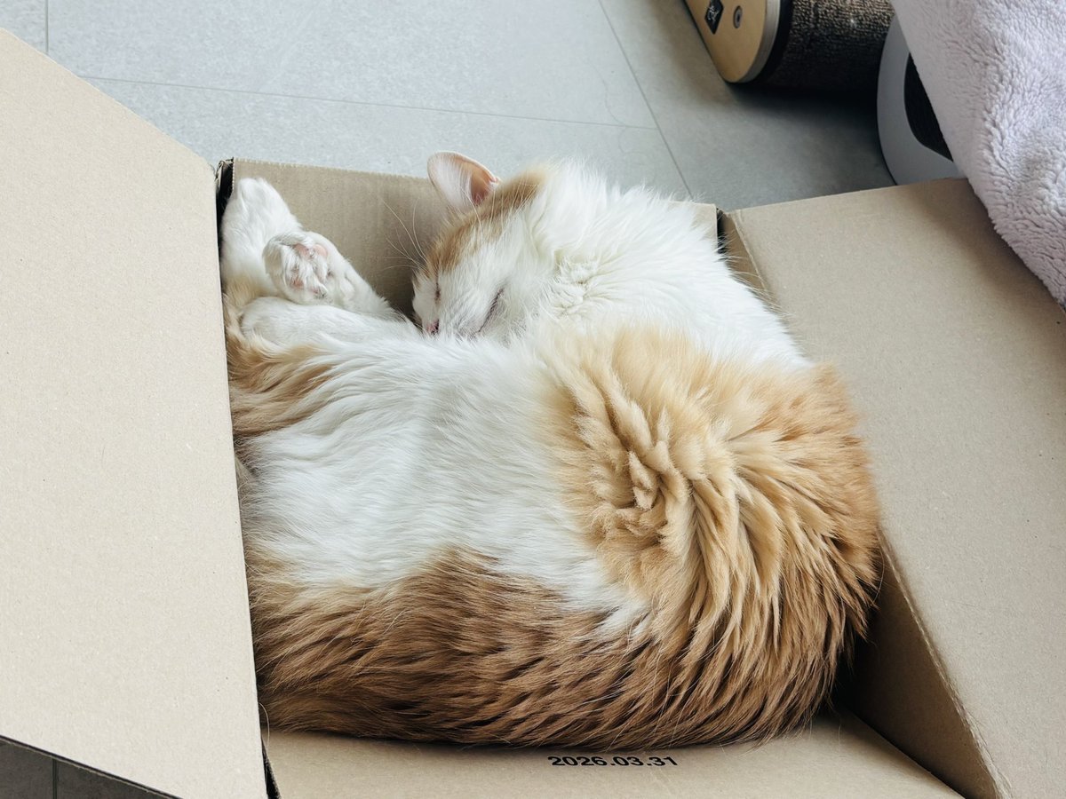 ellybillyncary's tweet photo. 몽글몽글 https://t.co/tknxCXdsd9