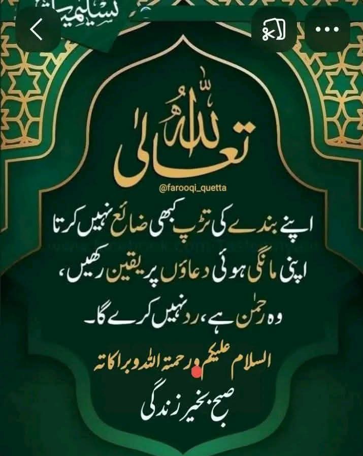 abidaliabbi's tweet photo. ﷽
السلام علیکم ورحمة الله وبرکاتہ🌹

#خاتم_النبیین_محمدﷺ
#درود_وسلام
اےالله ! تجھ سے تیری اور تیرے چاہنے والوں کی محبت اور ان اعمال کا سوال کرتے ہیں جو تیری محبت تک پہنچا دے
اےرب! اپنی محبت کو میرے لیےمیری جان ،میرے اہل وعیال اور ٹھنڈےپانی سےبھی زیادہ محبوب بنادے آمین https://t.co/X7IR33aKrT