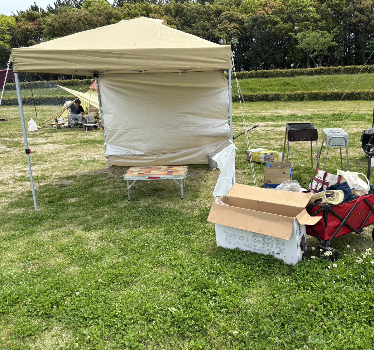 らいと🐶 tweet media