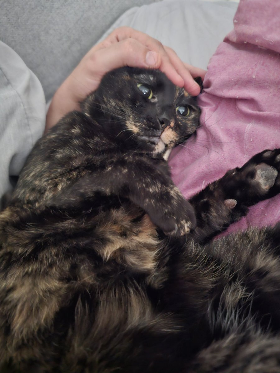 Mr. Blue tweet media