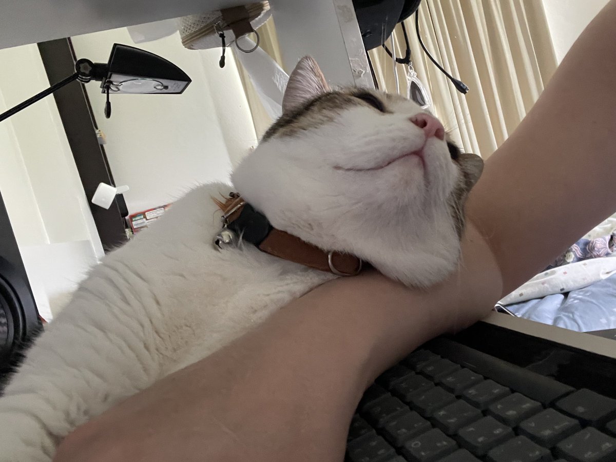 WR X Nana Hachi Hana tweet media