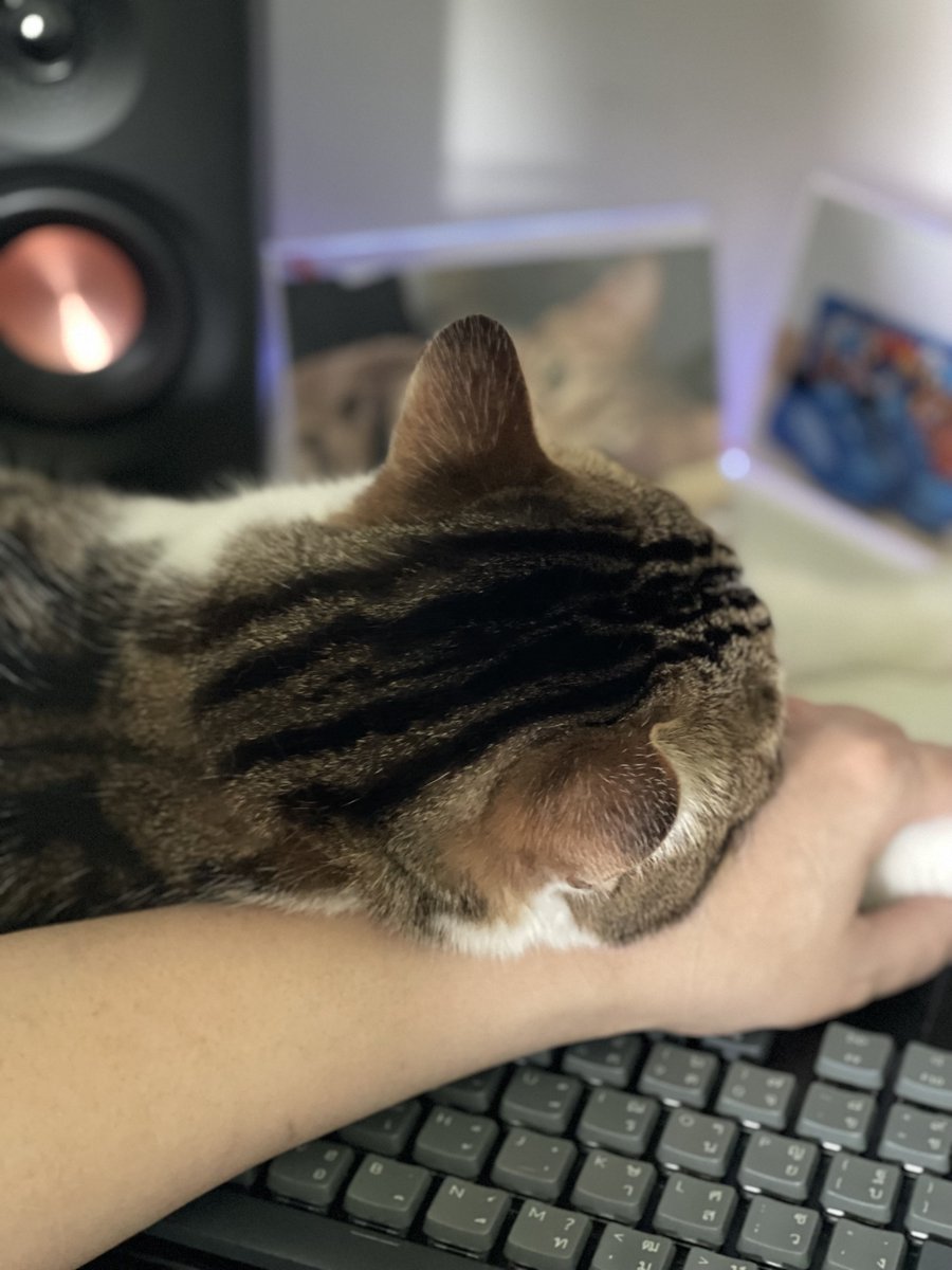 WR X Nana Hachi Hana tweet media