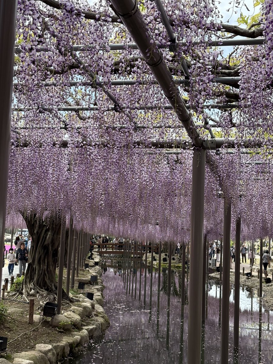 あんばたあ tweet media