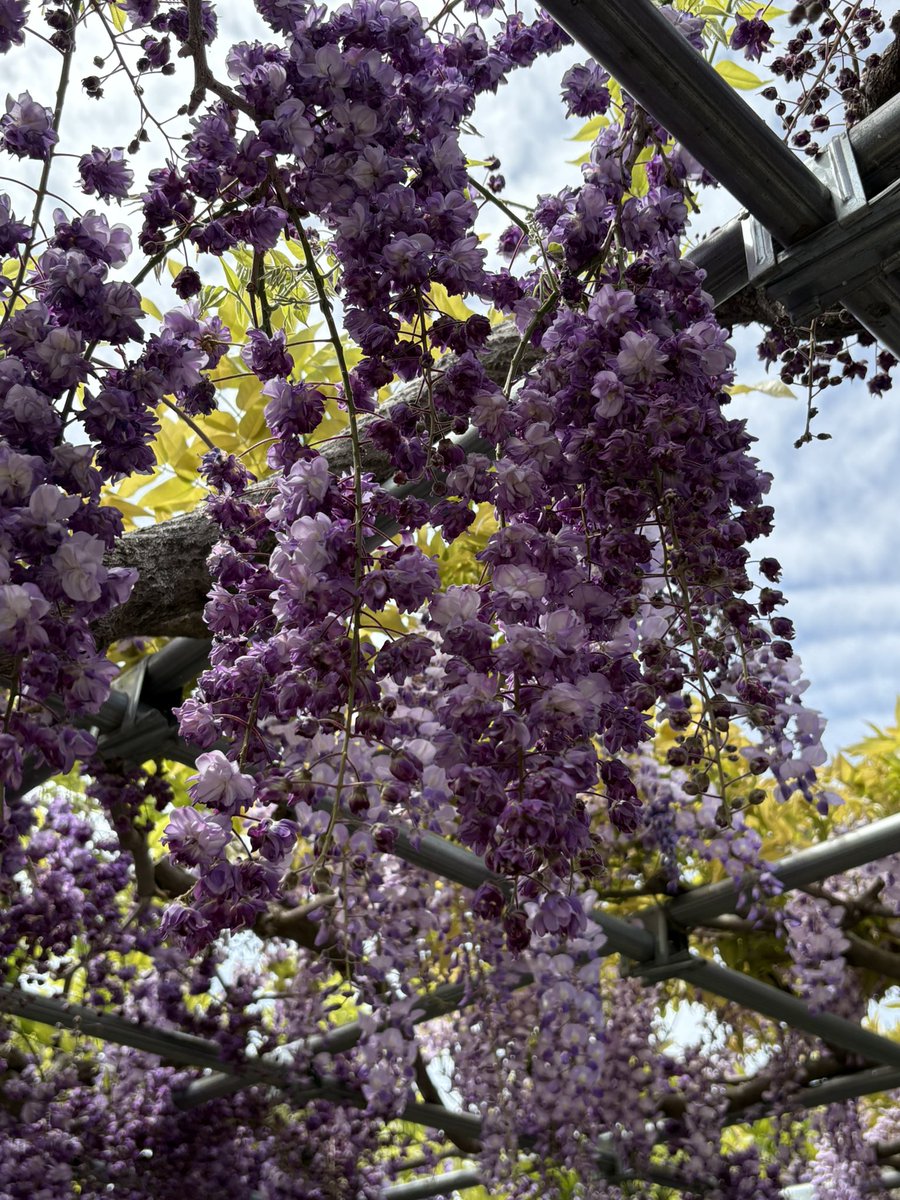 あんばたあ tweet media