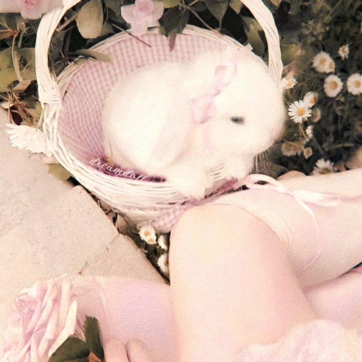 ᅠ-ˋˏ ♡ ᅠ𝐼𝑐ℎ𝑖𝑘𝑎ᅠ . tweet media