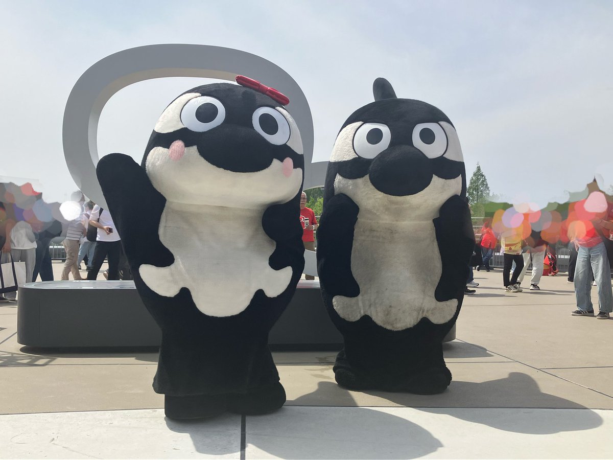 なんか濡れてるんだけどwww
#グランパスくん
#グランパコちゃん