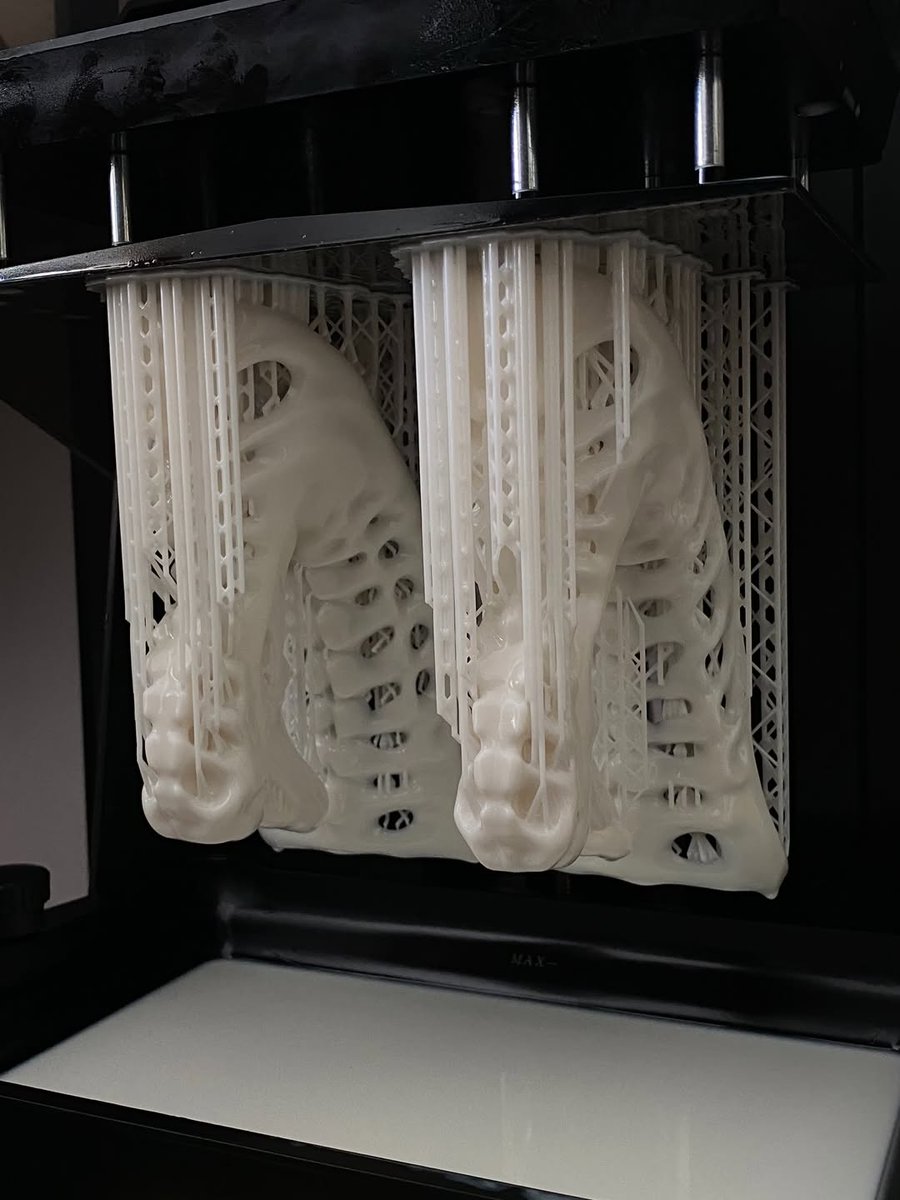 __✮🍃บบมเบบี้ฮิลฬ่าห์เมลรอล🪽✮__ tweet media