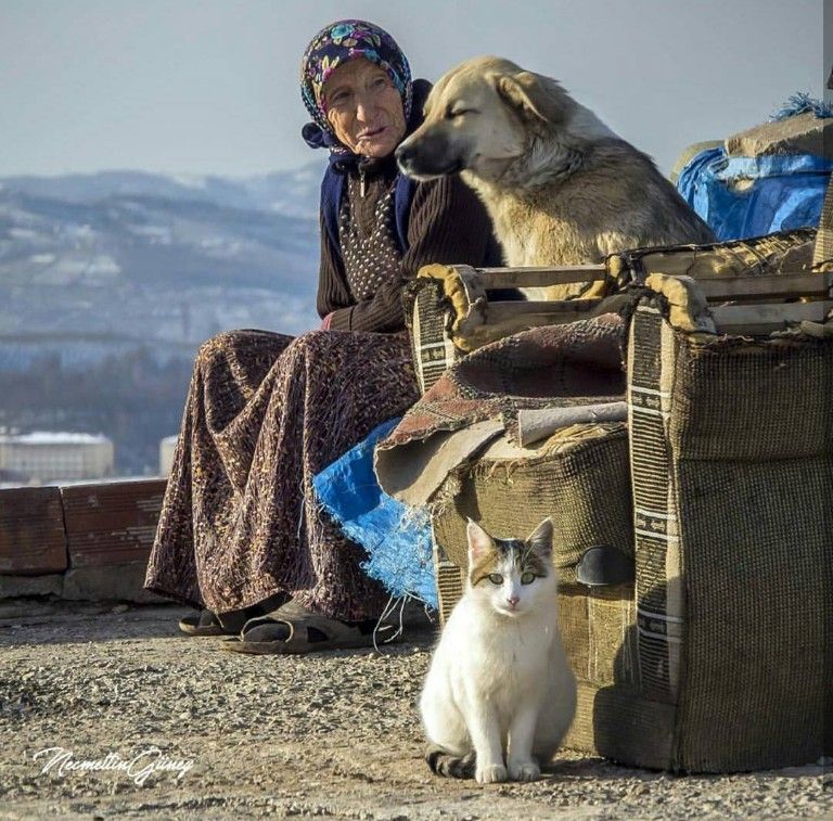 Günaydınlar güzel insanlar '' VE BİLMİYORDU KİMSE YÜREKLERİMİZDEN UÇAN ÜZGÜN GÜVERCİNİN İNANÇ OLDUĞUNU..FURUĞ FERRUHZAT '' pazarola dostlukla...