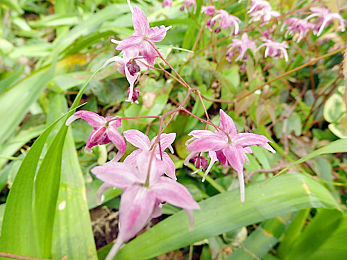 こども生活クラブ tweet media