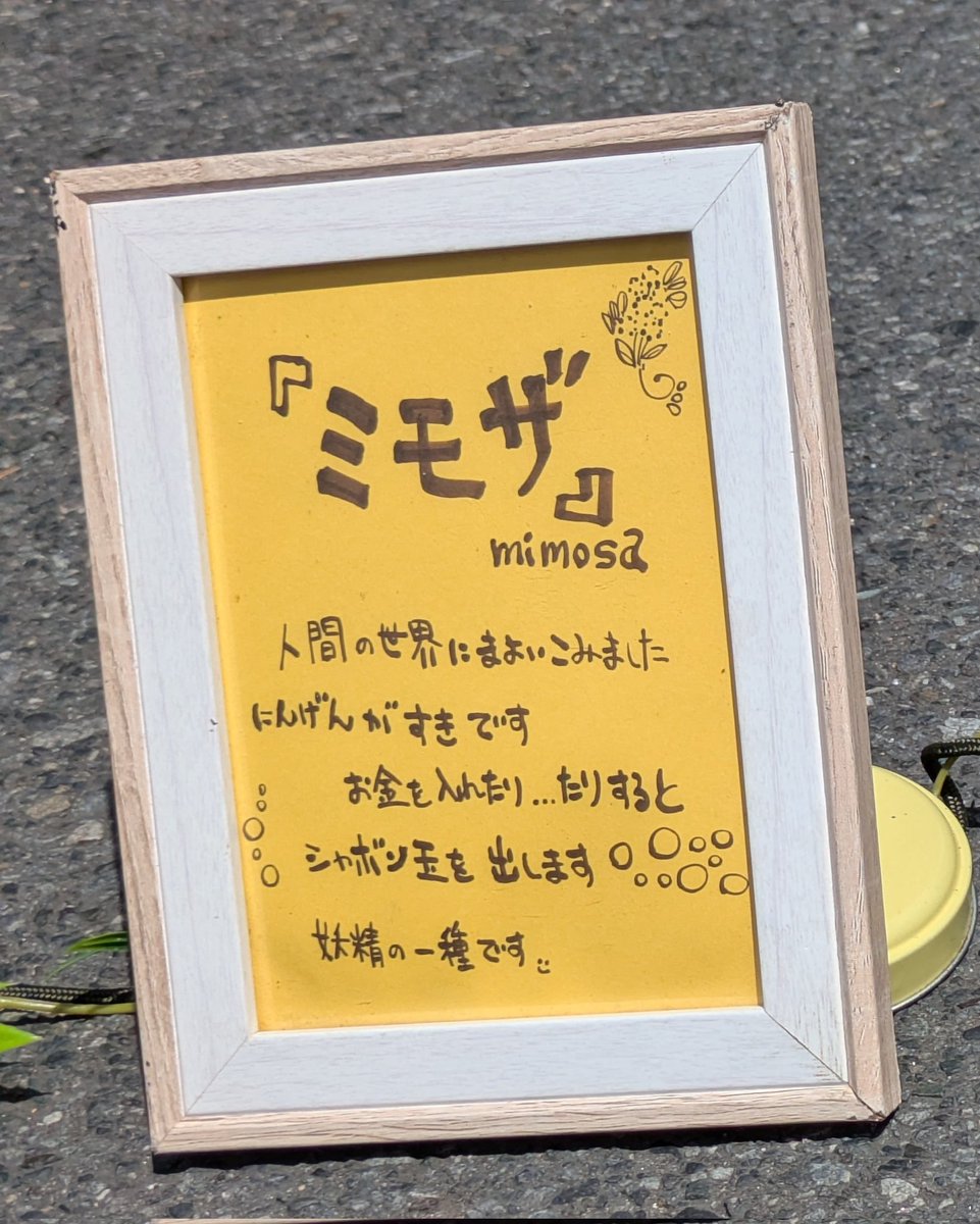 CanserJUNKO's tweet photo. @kameido_d 暑い中、皆さんお待ちしてますね💕
#ミモザ さん https://t.co/1gkb07mCra