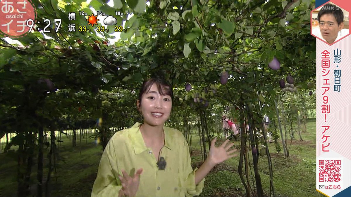 あなきゃぷさん.net tweet media