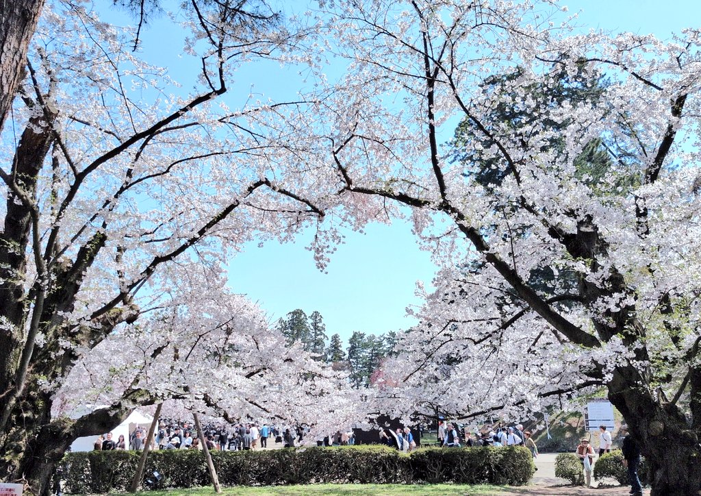 加越🚆 tweet media