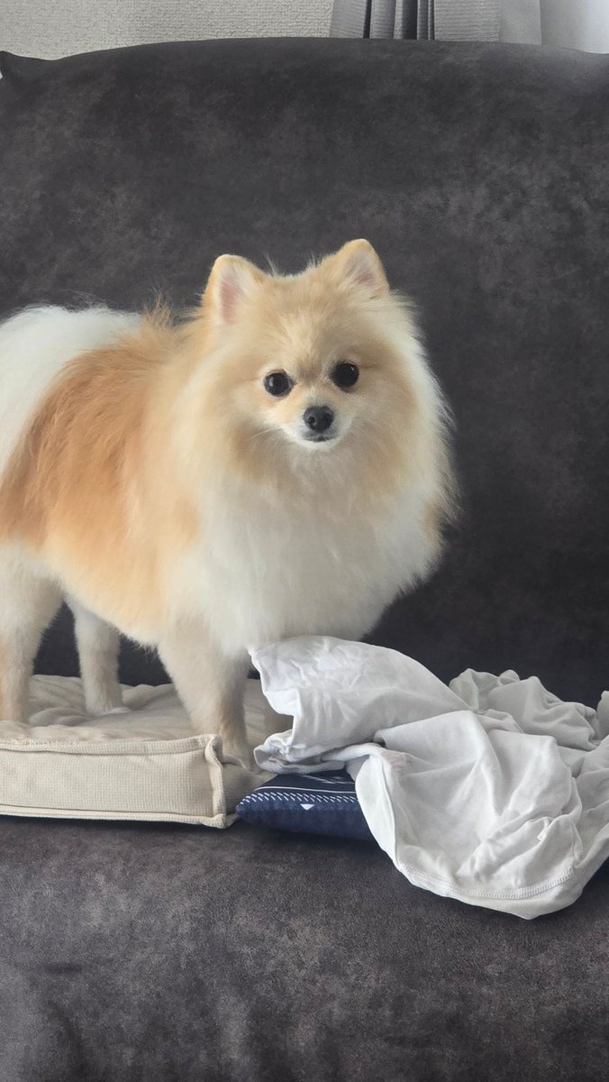 まさと tweet media