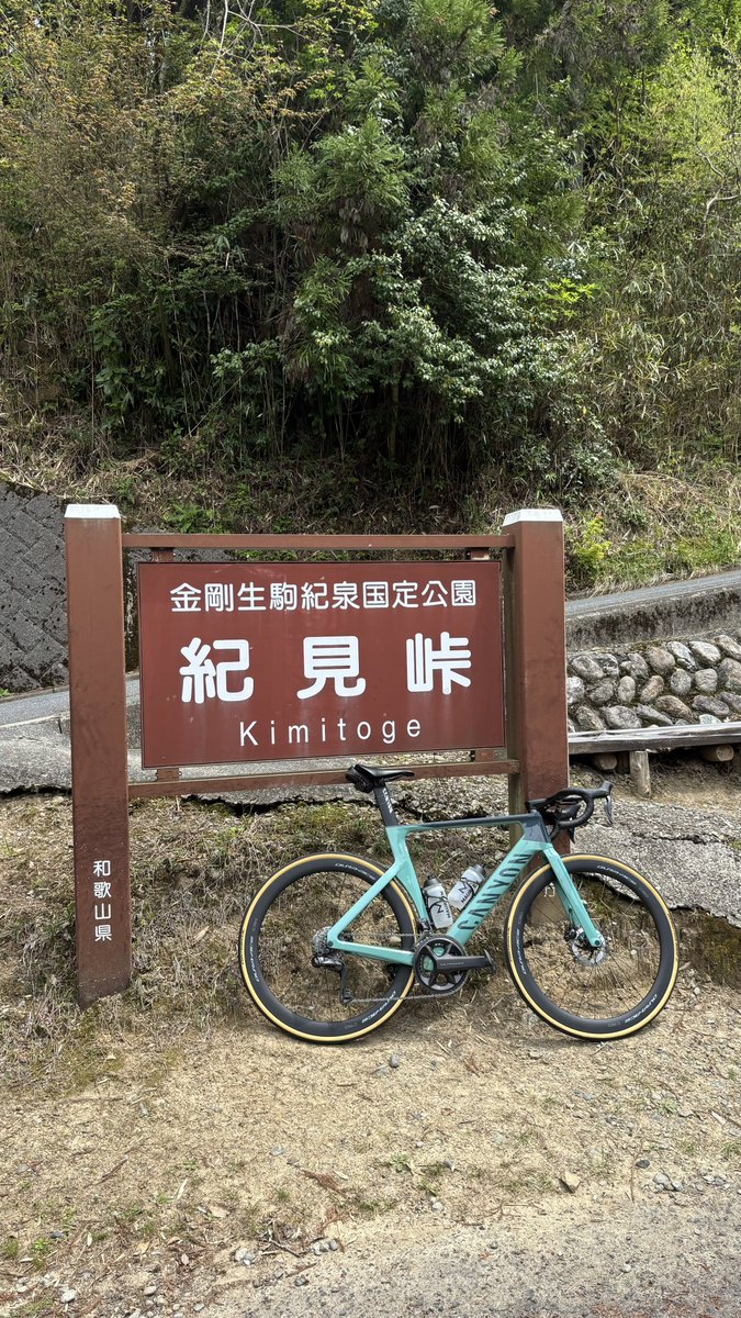 ユウキ tweet media