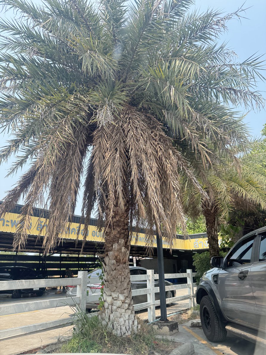 Khun 🤍 tweet media