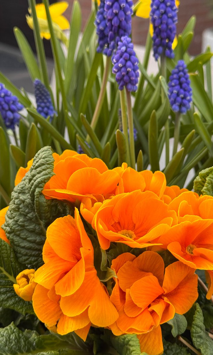 Vipin Dhir tweet media