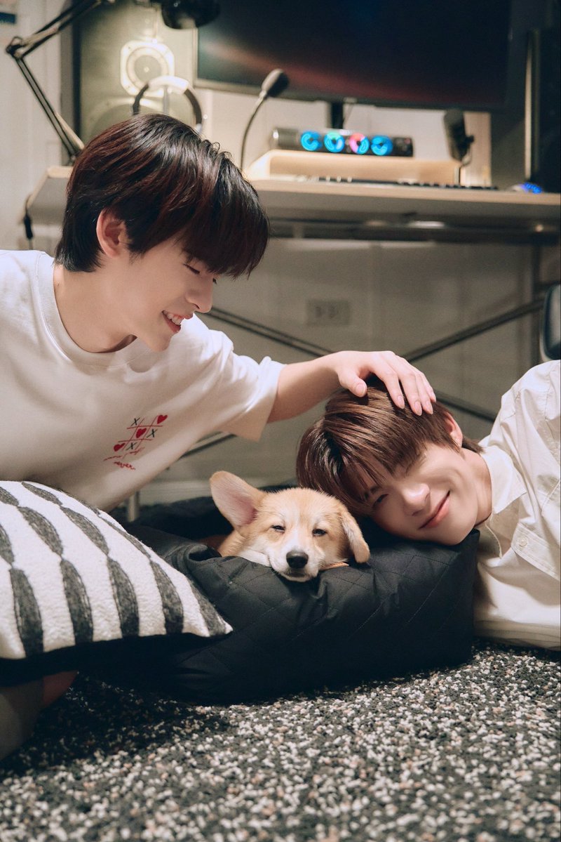 ≽^• ༚ • ^≼ 💗🐶🐻‍❄️💗 ૮⍝• ᴥ •⍝ა tweet media