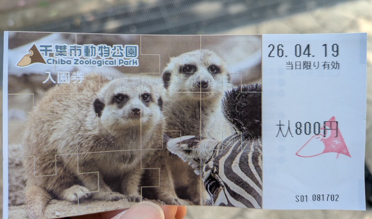 🐧を見に来ました
モノレールでくる途中、天台では高校野球の試合中でした⚾