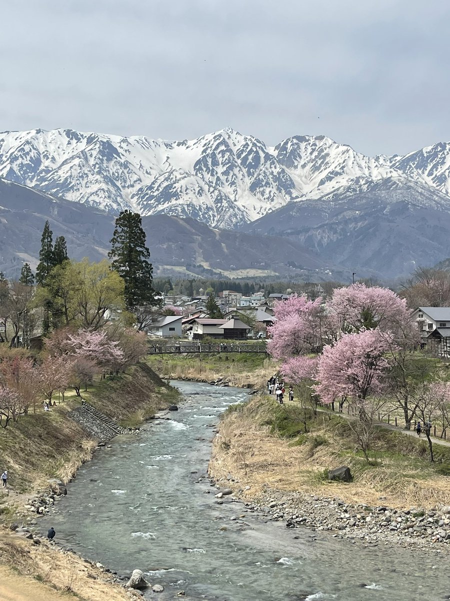 倉石竜也 シニア向けスマホ・パソコン教室みっぷす tweet media